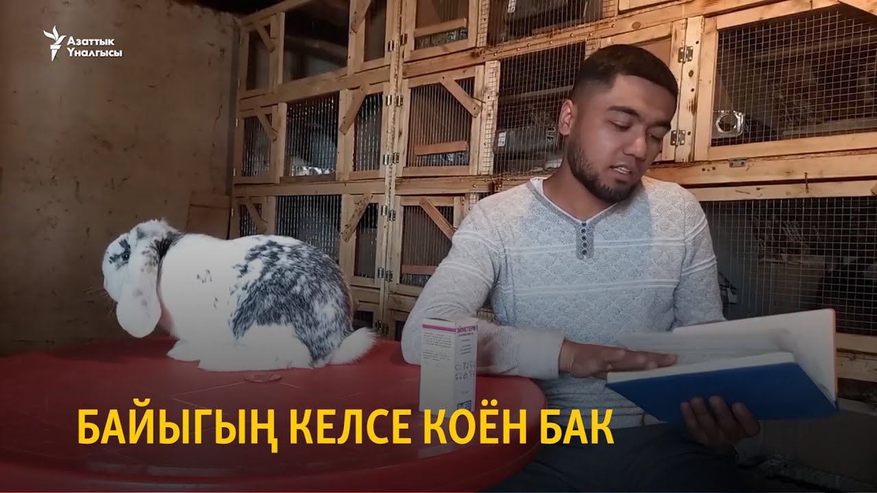 Байыгың келсе коён бак