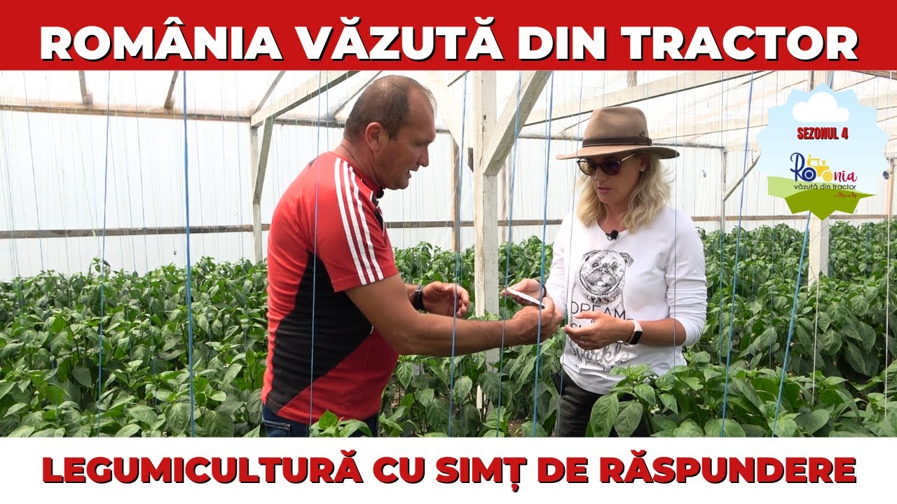 Legumicultură cu simț de răspundere / România Văzută Din Tractor