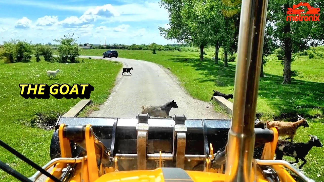 Hit the Goat at 50km/h !?!?  JCB 3CX PRO
