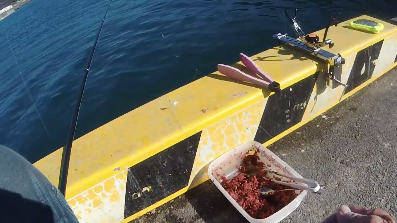 由比港　ママカリでも大苦戦⁉　坊主の予感⁈