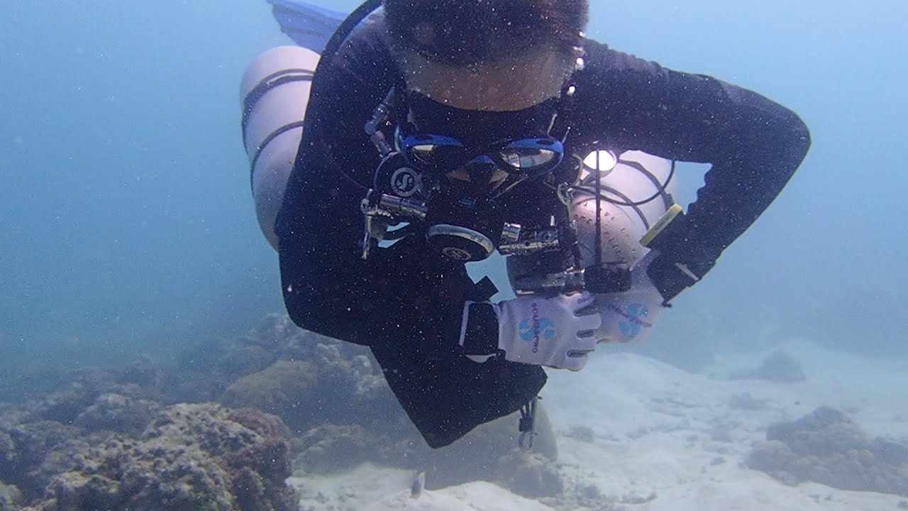 Sidemount skill - Broken Bungee
