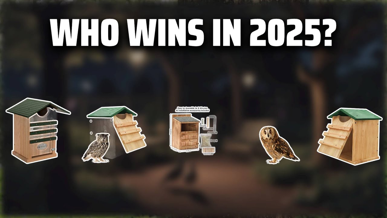 The Top 5 Best Owl Houses in 2025 - Must Watch Before Buying!
