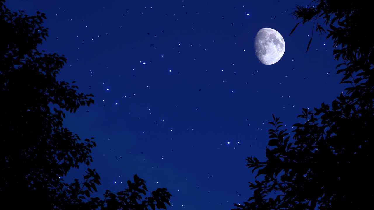 Cricket Noise for Sleeping 10 Hours | Binaural Nighttime Ambience | Nature Sleep Sounds