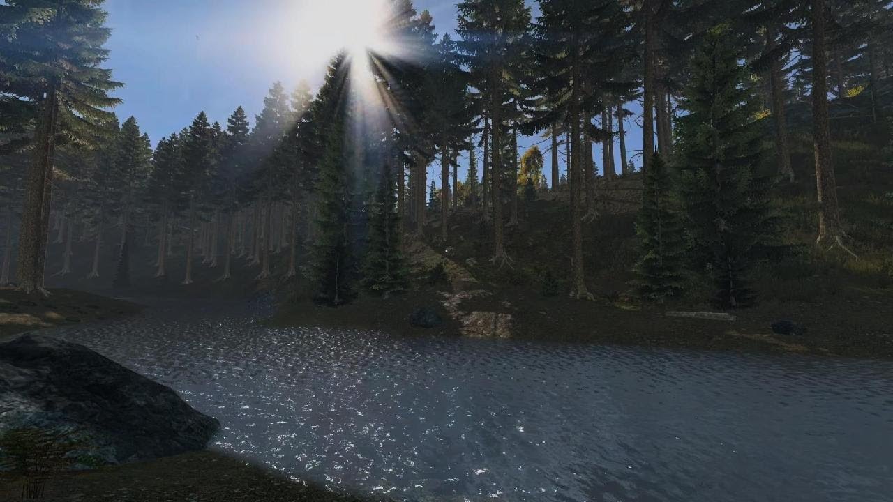 DayZ ASMR | Peaceful River in the Forest | 30 Minute Real Time Lapse