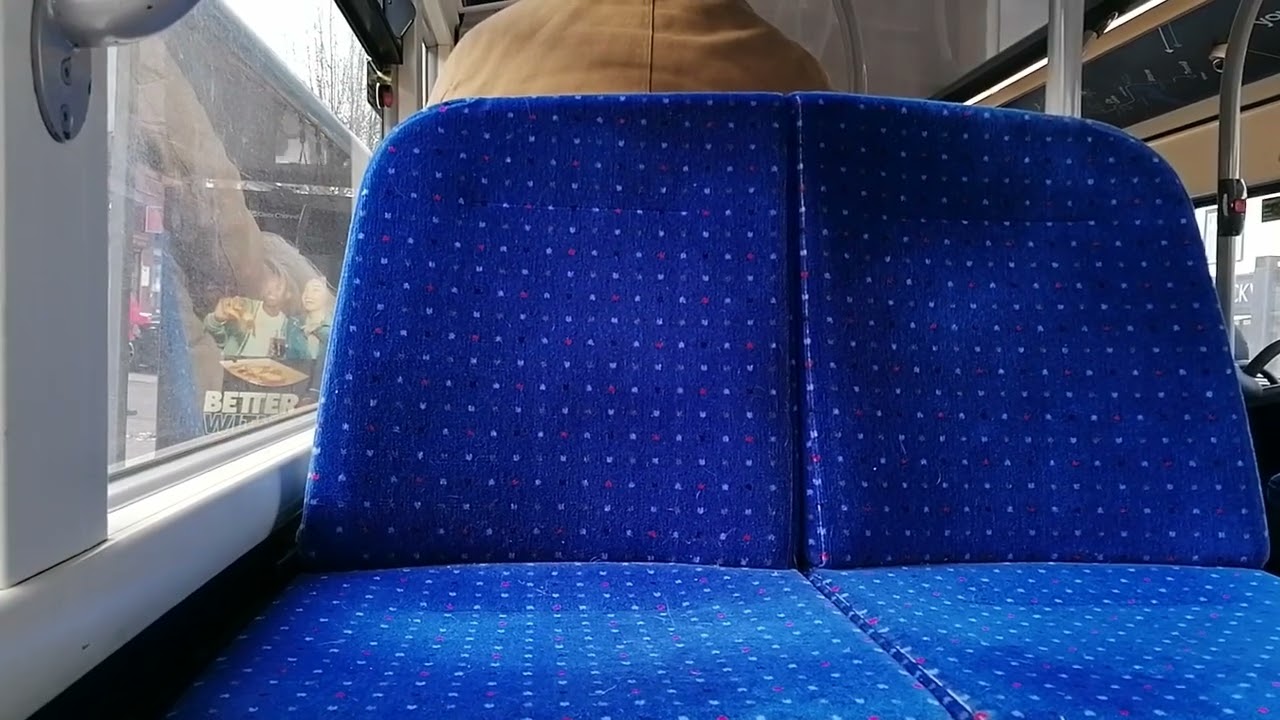 Bluestar Bus Route 19 | ADL Enviro400 City 1251/HF68DXV