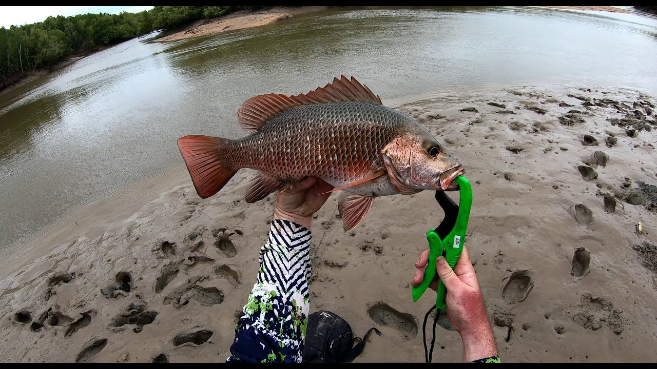 Barramundi fishing land based Darwin Northern Territory Pt 2