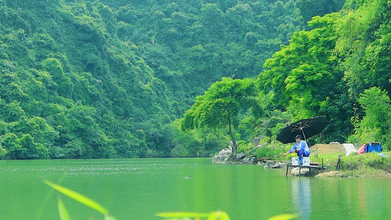 CÂU CÁ TRÔI NINH BÌNH: Nghe Rít Cước phêêêêêêêêê!!!