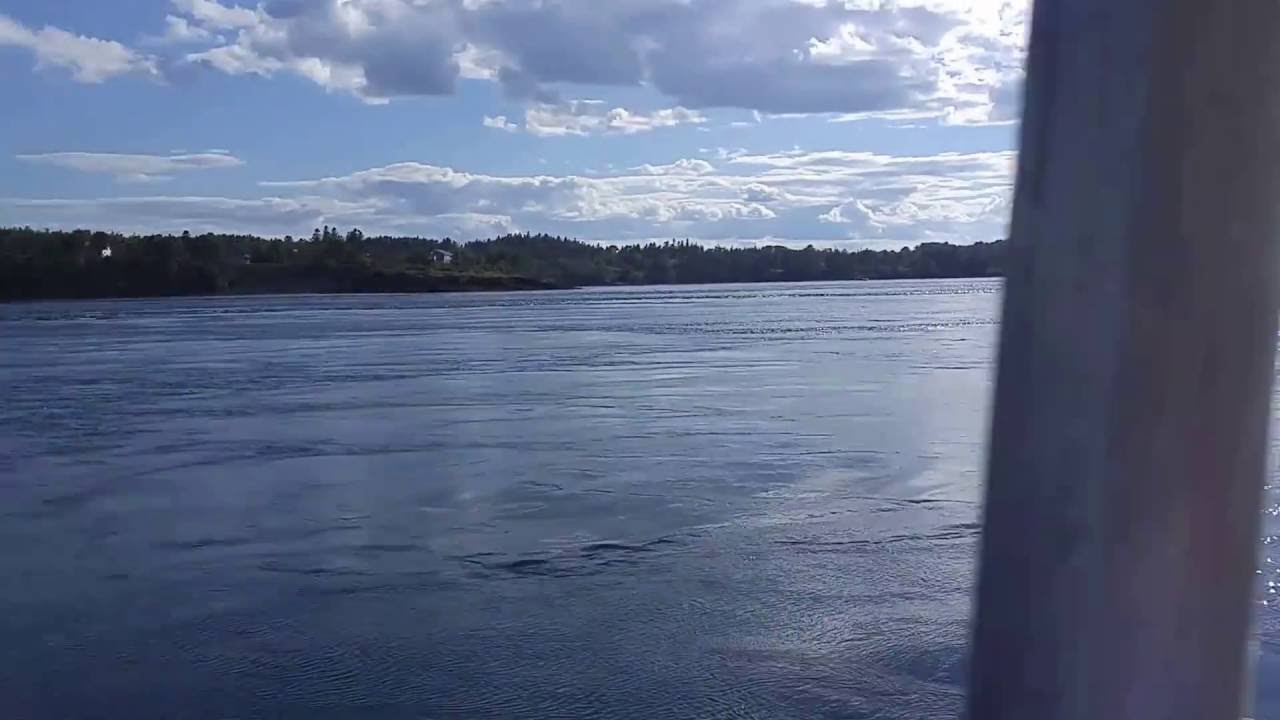 Old Sow, the largest whirlpool in the world