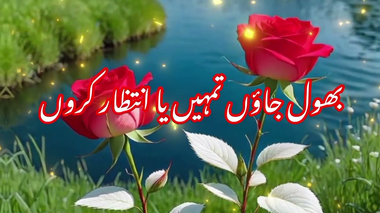 #urdupoetry​ #viralvideo​ #trendingvideo​ #lovestatus​ #love​ #heartbroken​ #lovestatus​ #viral​ 