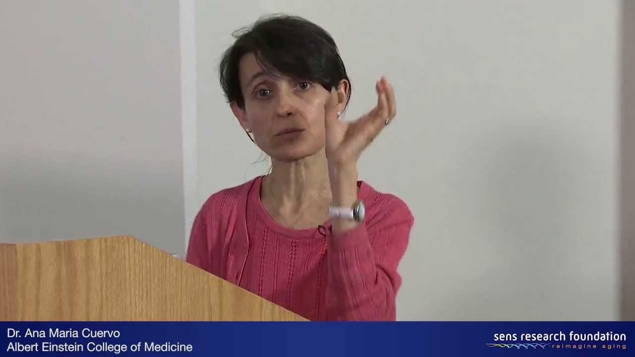 Autophagy and Intracellular Aggregates - Dr. Ana Maria Cuervo