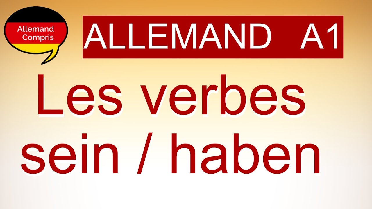 🇩🇪  sein et haben | #apprendreallemand