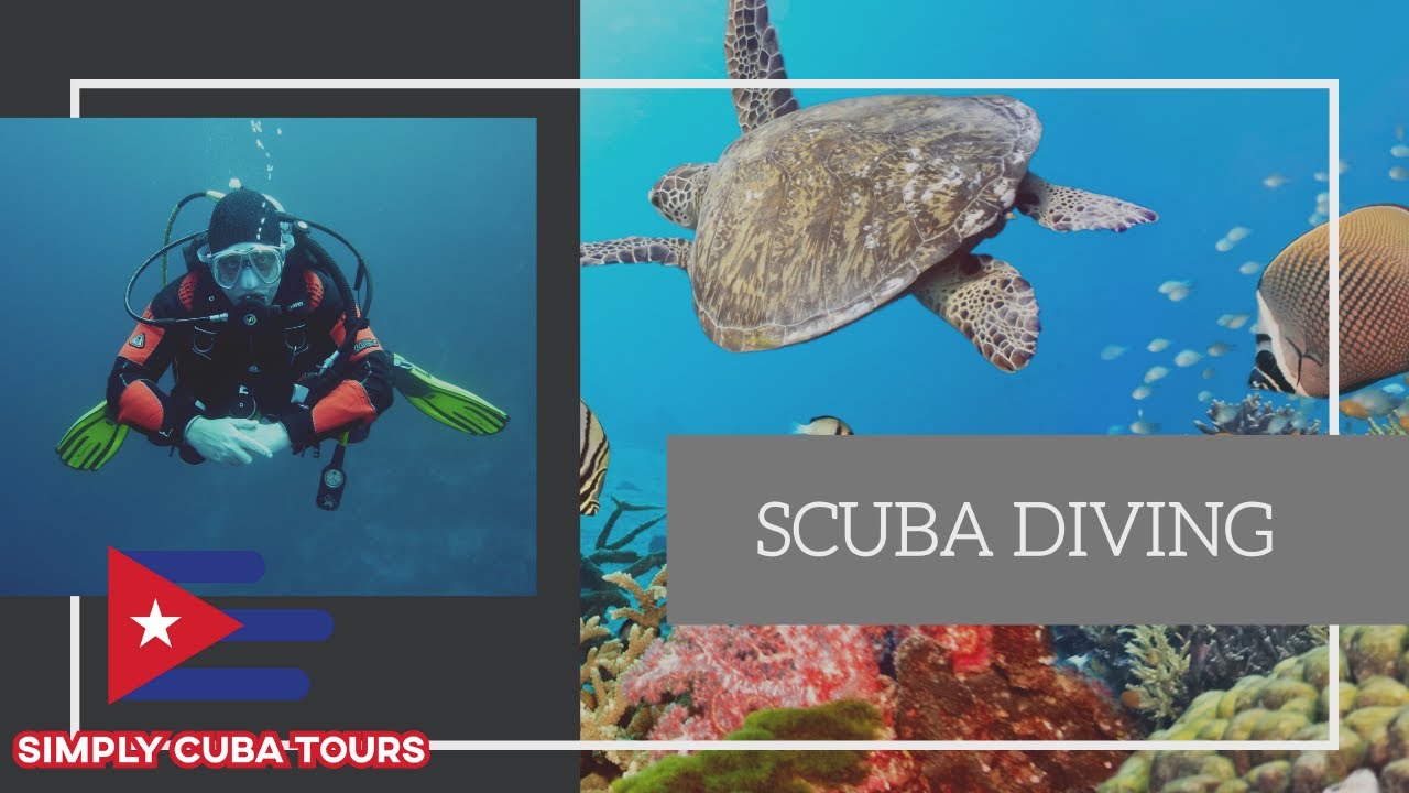 SCUBA DIVING in the World's Most Pristine Coral Reefs in the Caribbean