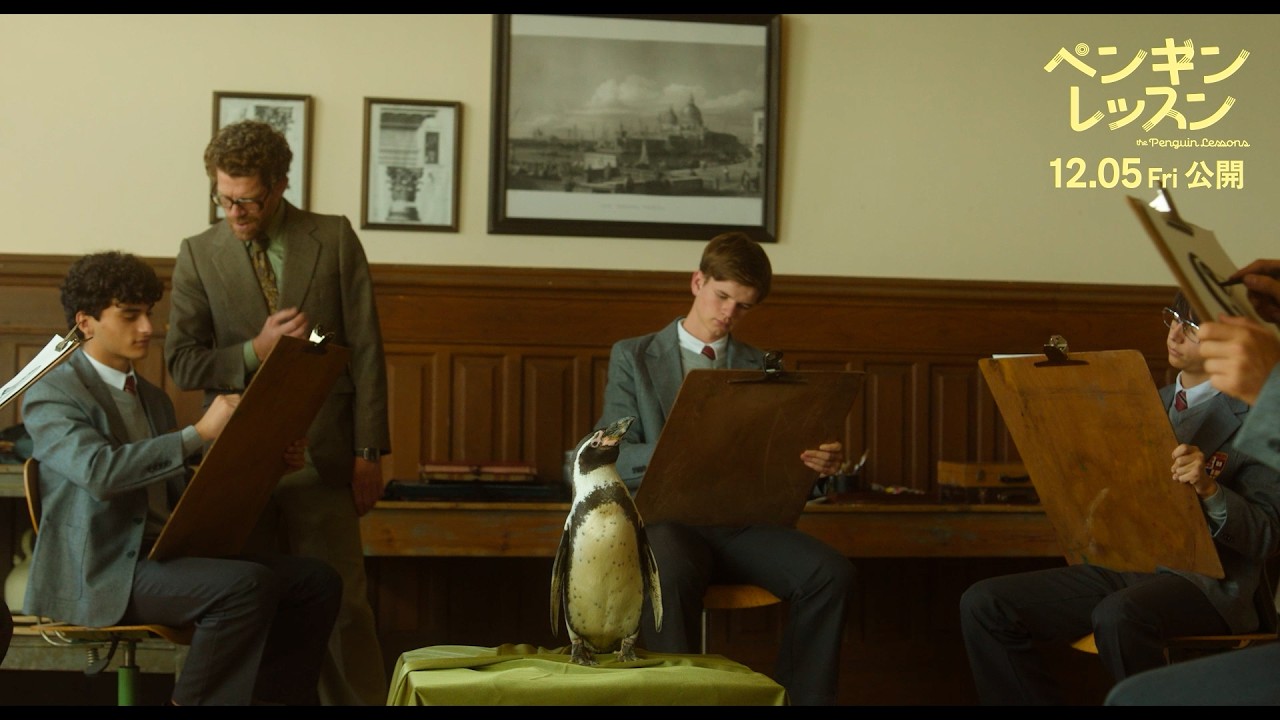 軍事政権下でも笑顔を誘い心を癒すペンギン！映画『ペンギン・レッスン』本編映像