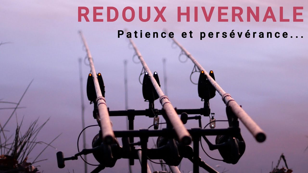REDOUX HIVERNALE  {Pêche de la carpe}