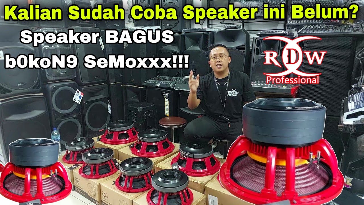 Cobain Sekarang Bolo! Speaker RDW 15 inch 15LS30FT & RDW 12 inch 12LS70F Siap Kirim VIRA MUSIK NTB