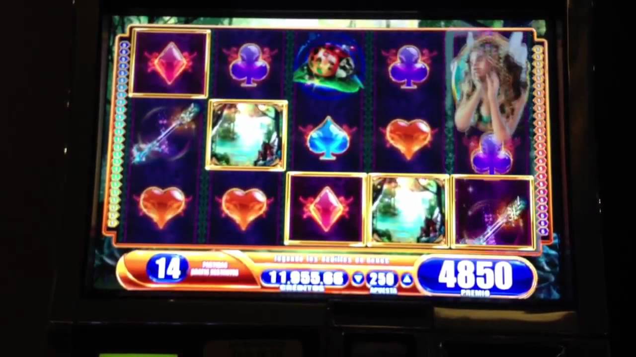 FAIRY'S FORTUNE WMS SLOT BONUS MAX BET + RETRIGGER
