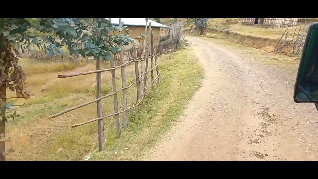 አልብኮ 05, ነጋሺን  ያላችሁ