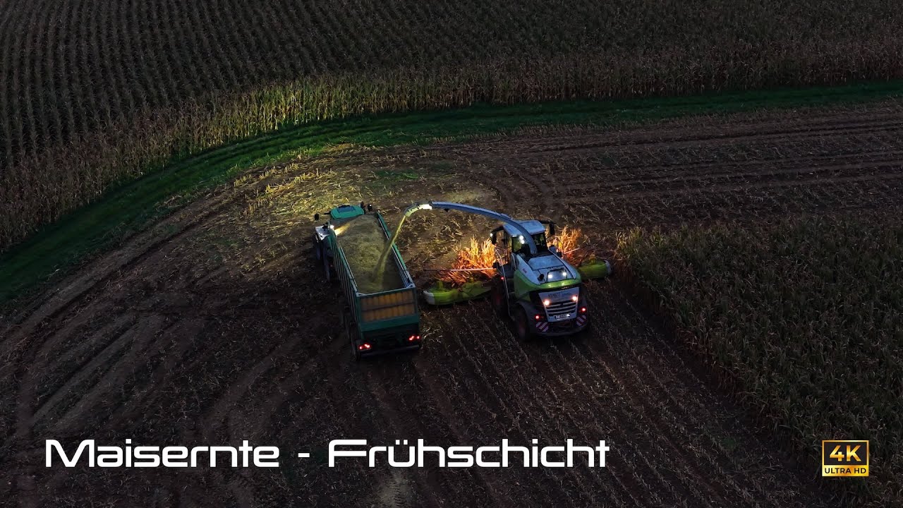 Maisernte im Hegau - Frühschicht im Oktober 2025