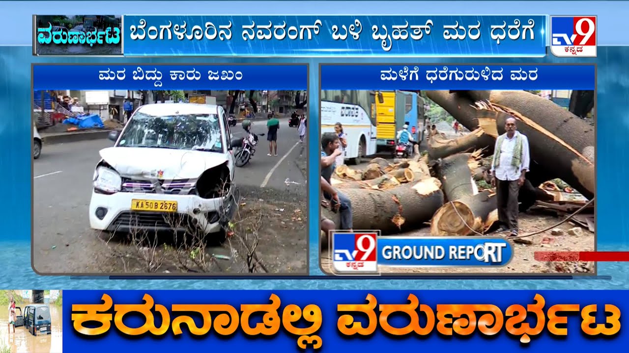 Bengaluru Rains: Compound Collapses At Apartment In Ullal, Tree Uprooted Near Navrang, Car Damaged