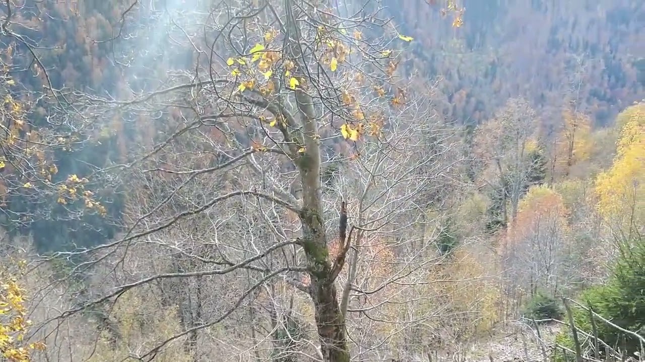🥾Wegsuche-Wanderung: Himmelreich➝ Posthaldefelsen➝ Piketfelsen
