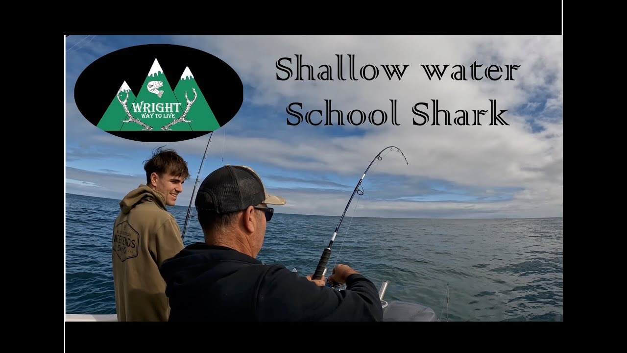 May School Shark 2023