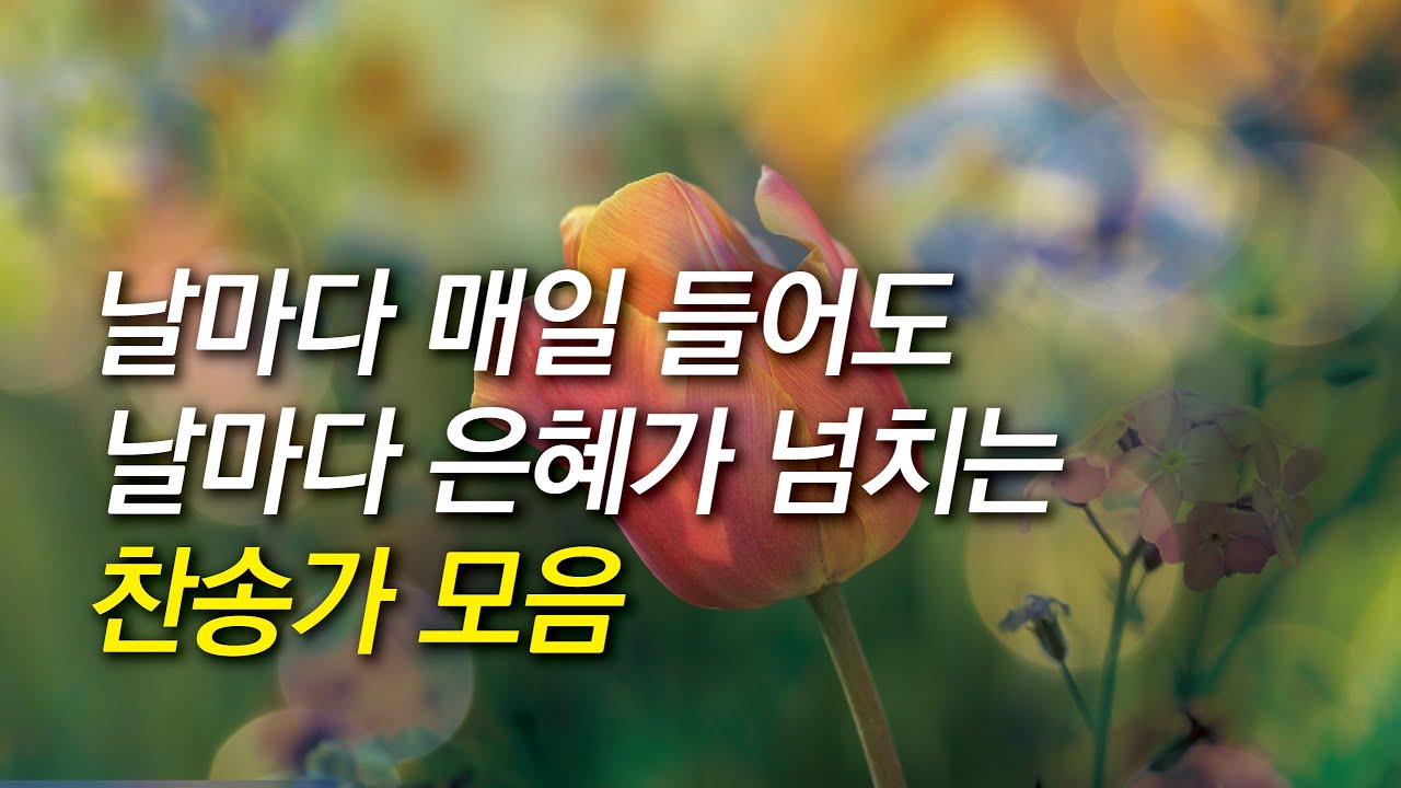 [찬송가모음] 날마다 매일 들어도 날마다 은혜가 넘치는 찬송가 모음 (찬송가연속듣기,기도찬송,찬송가 연속 듣기)