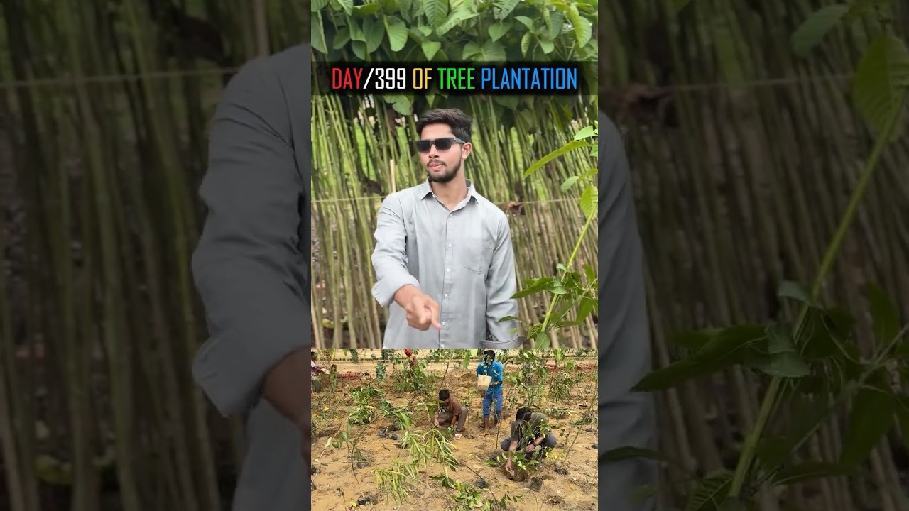 🚨 Monsoon Is Still Missing&hellip; 🌧️❌ Stop Cutting Trees or Face a Deadly Summer 🥵🔥 #tree #yt #plants
