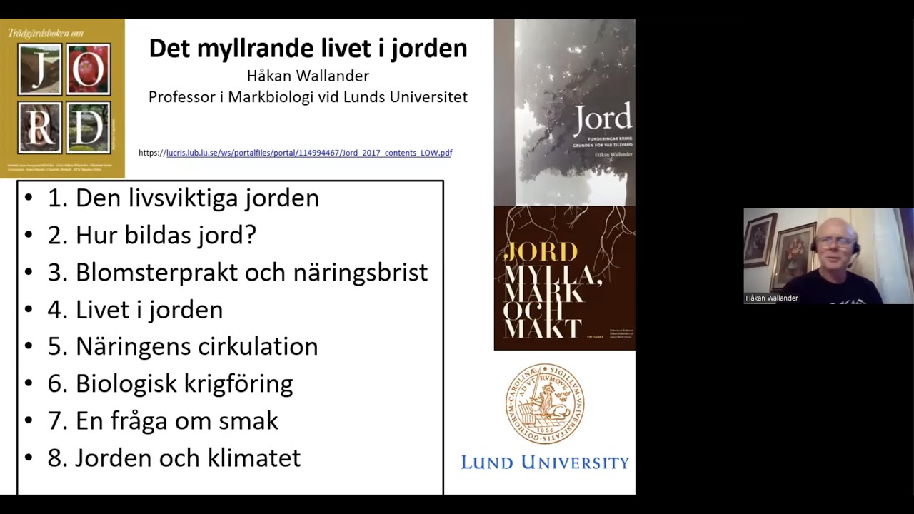 Håkan Wallander: Ektomykorrhizor och små varelser sköter kolflödet i skogsjorden.