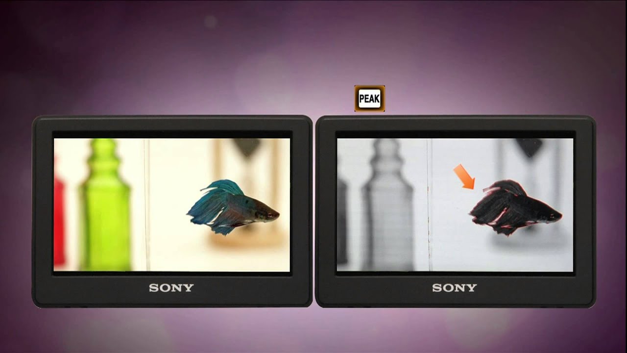 Introducing video of Clip-on LCD Monitor[CLM-V55]