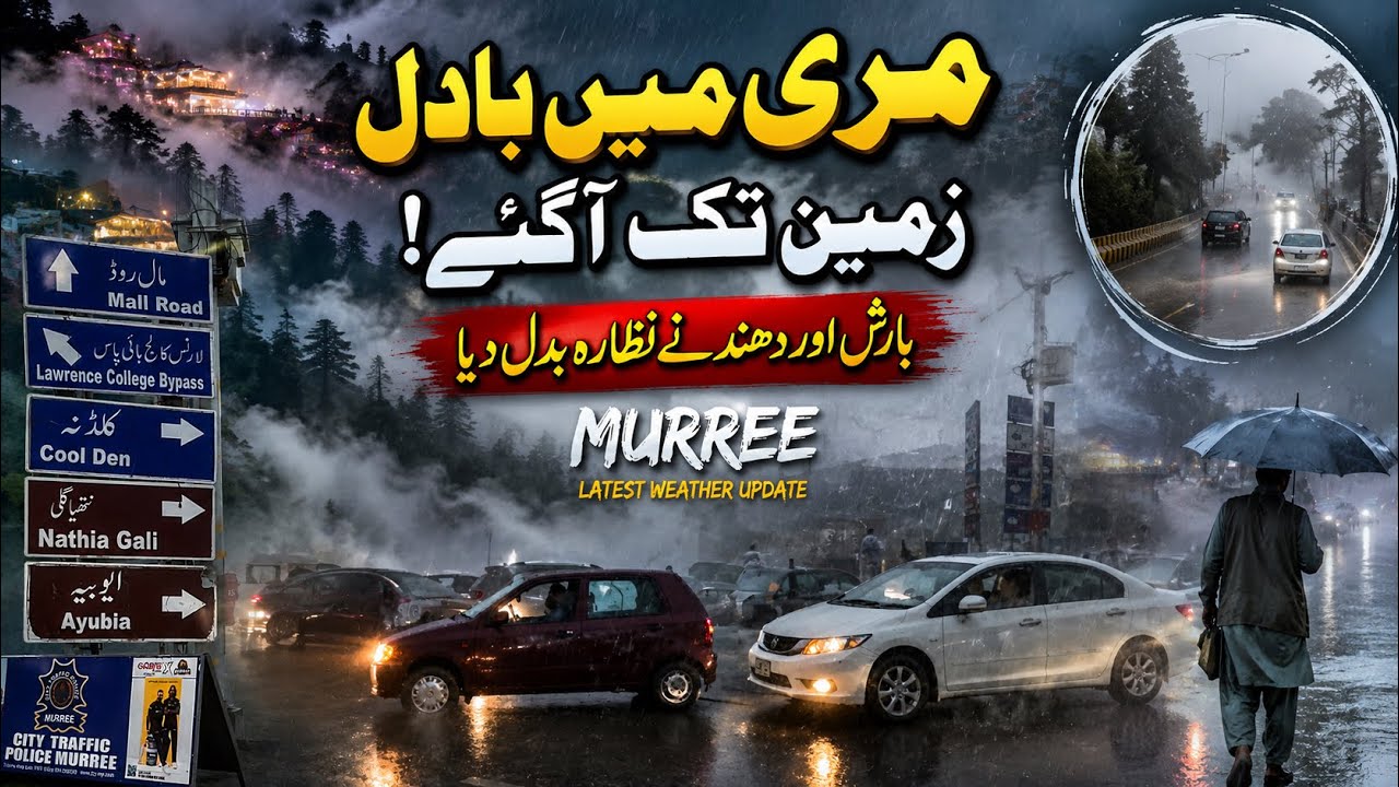 Heavy Rain in Murree | Clouds Covered the Entire City | Beautiful Weather Today | Murree Updates 