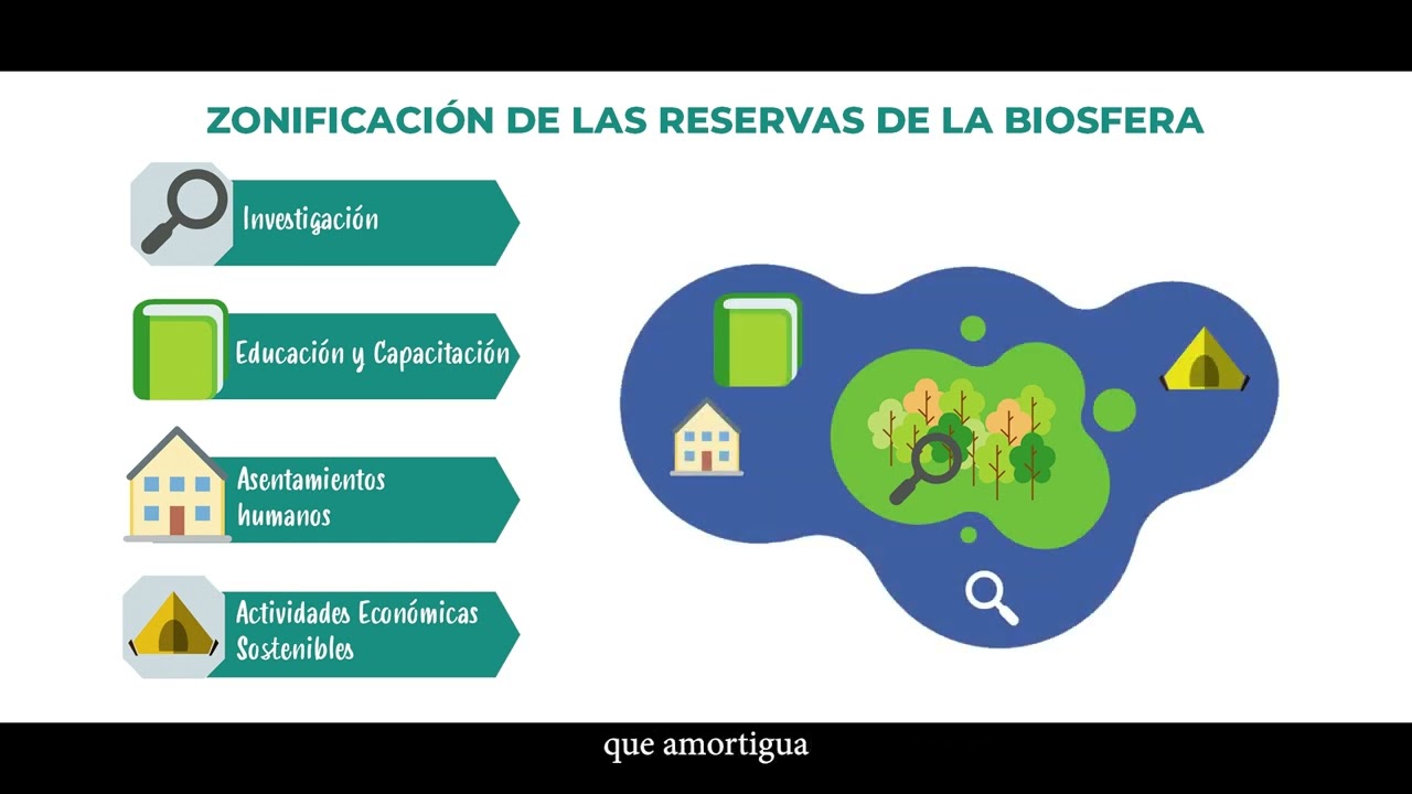 RESERVA BIOSFERA   RESUMEN CORTO