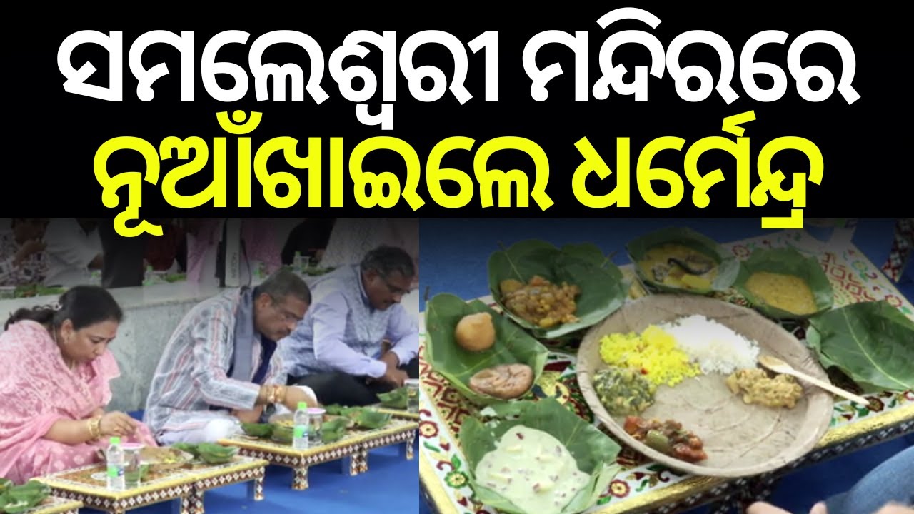 ନୂଆଁଖାଇଲେ ଧର୍ମେନ୍ଦ୍ର | Dharmendra Pradhan’s Special Nuakhai Celebration at Samaleswari Temple