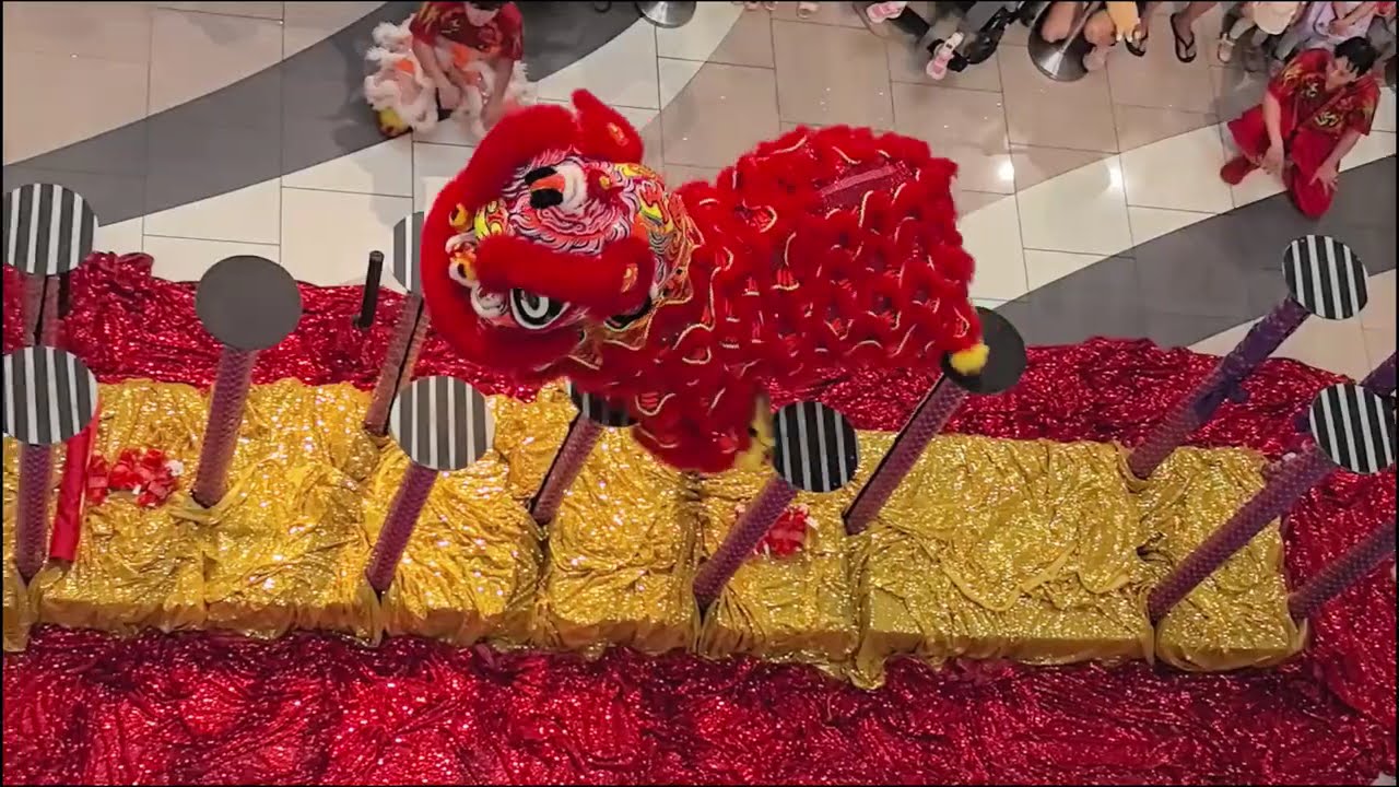 Chinese New Year 2026    I      Lion Dance  Performance @The Centrepoint Orchard   I   Singapore