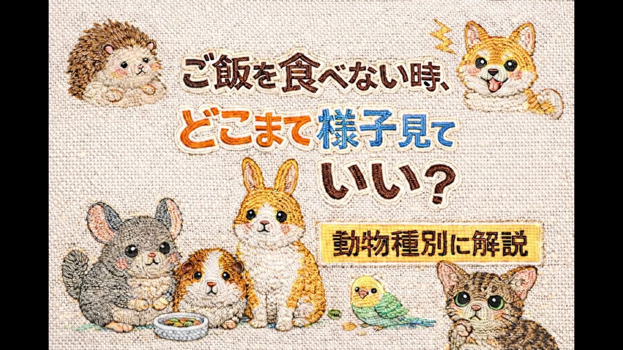 ご飯を食べない時、どこまで様子見ていい？
