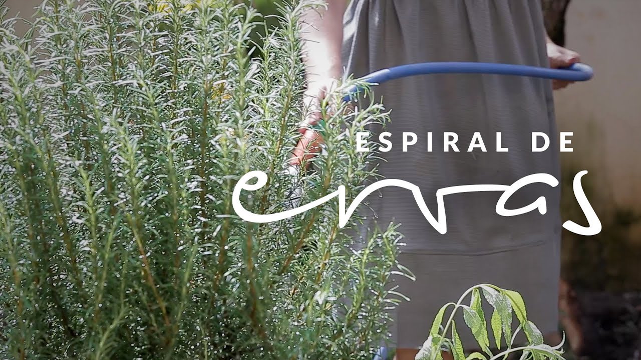 Jardim das Ideias #13: Espiral de ervas