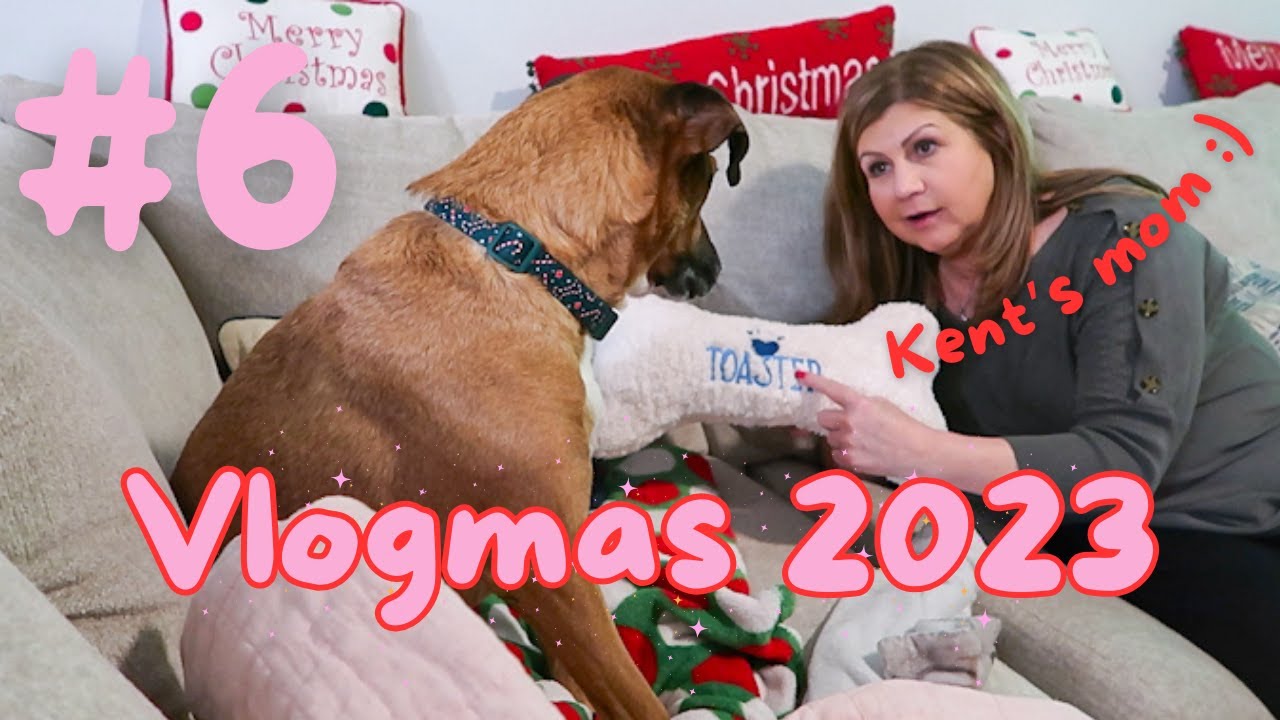 DAY 6 - We Made It to Florida! | Vlogmas 2023 | Knitty Natty