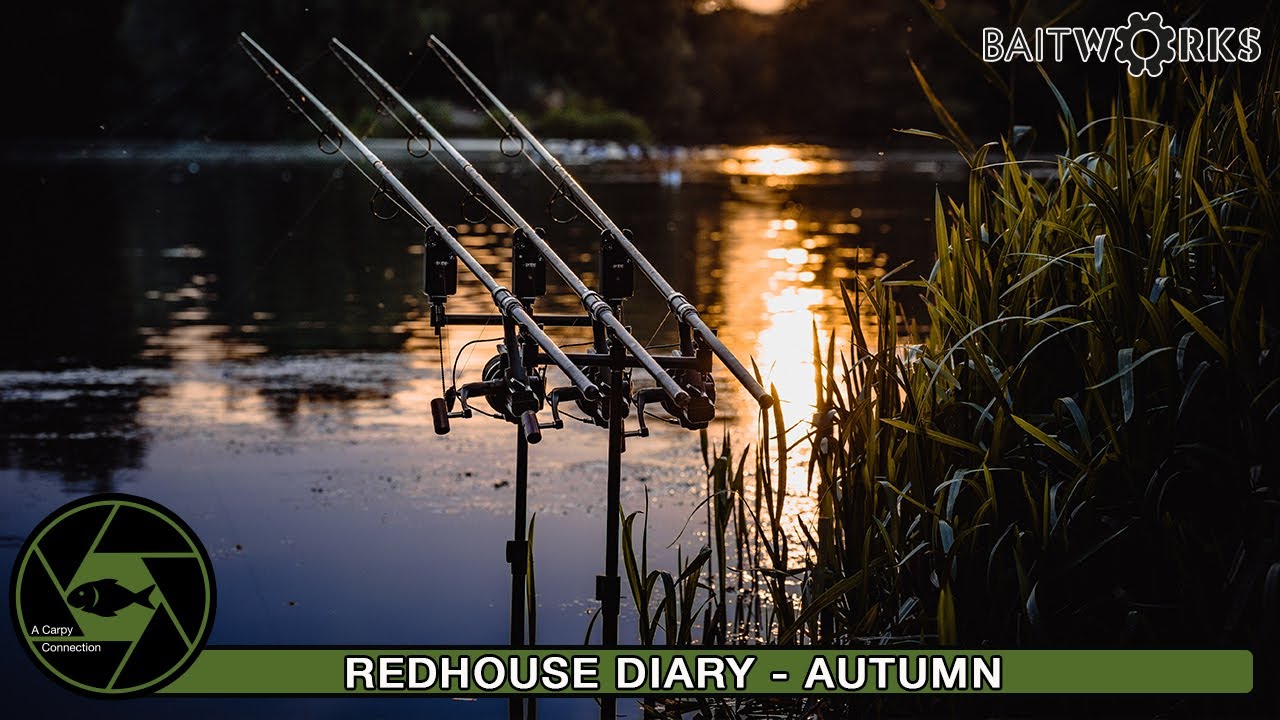 Carp Fishing - Redhouse Diary - Autumn