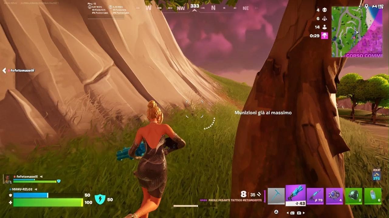 FORTNITE RIENTRO : La sua prima vittoria