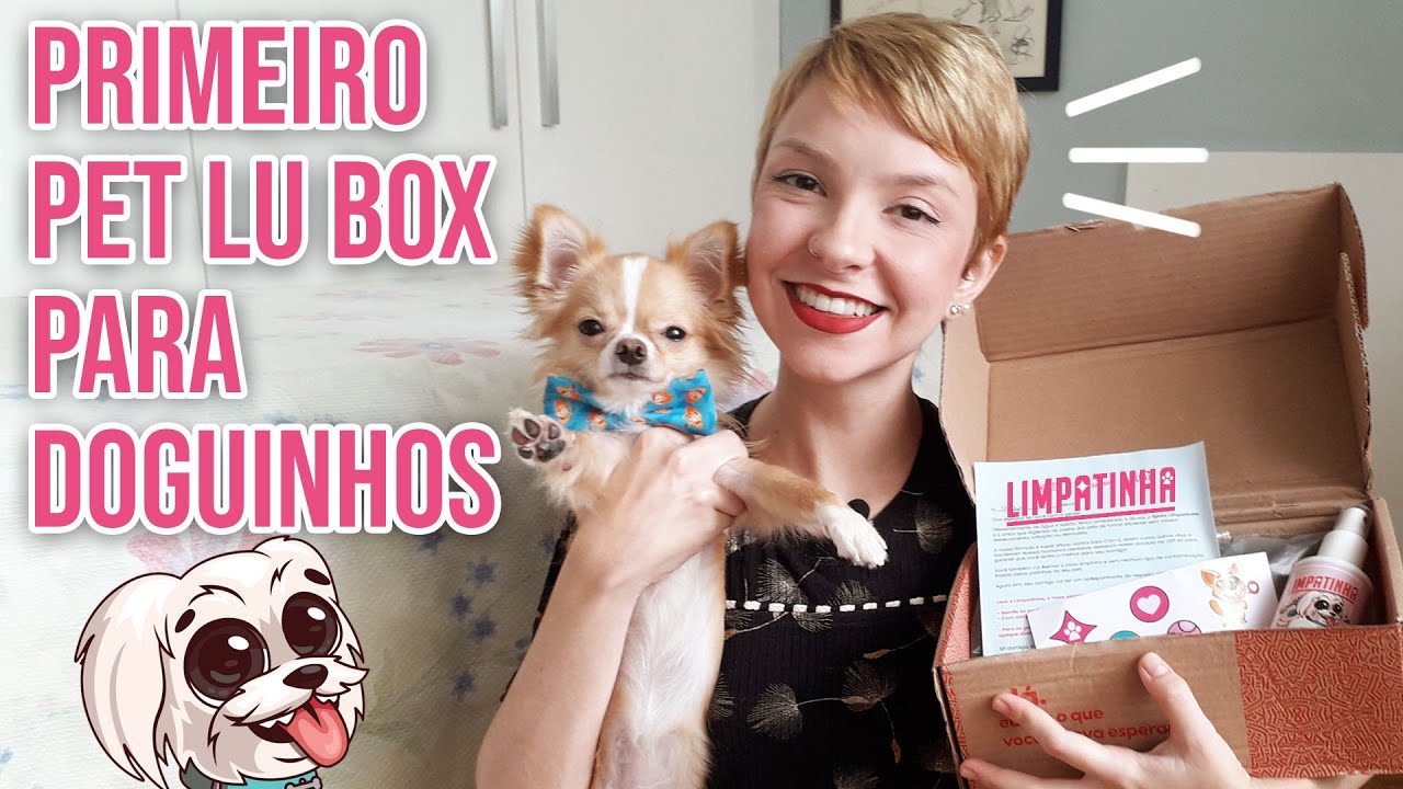 Arrumando a mala do meu cachorro para viagem + Pet Lu Box com Limpatinha