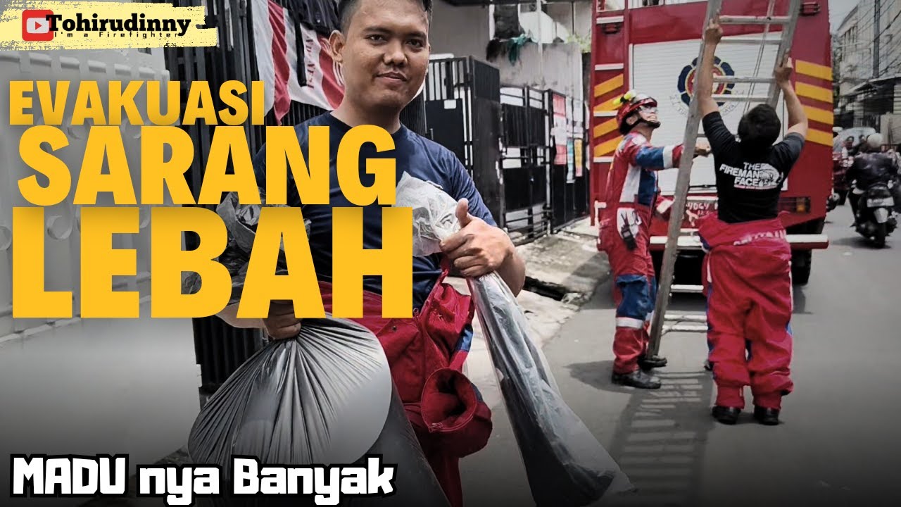 EVAKUASI SARANG LEBAH - Madunya Banyak | Damkar Jakarta Barat #pemadamkeren