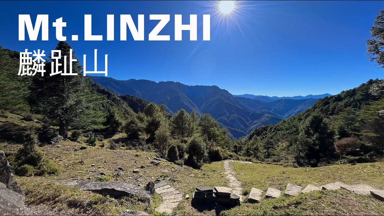 麟趾山環走9km，玉山群峰相伴，塔塔加大鐵杉豐富生態景觀老少皆宜｜山上加美Lovely Hill