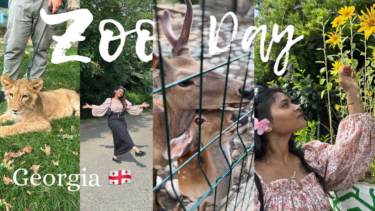 JIG Ep : 1 - Final Exam 📚🥴| Lisi Lake 🌚🌝| Zoo In Tbilisi 🐆❤️