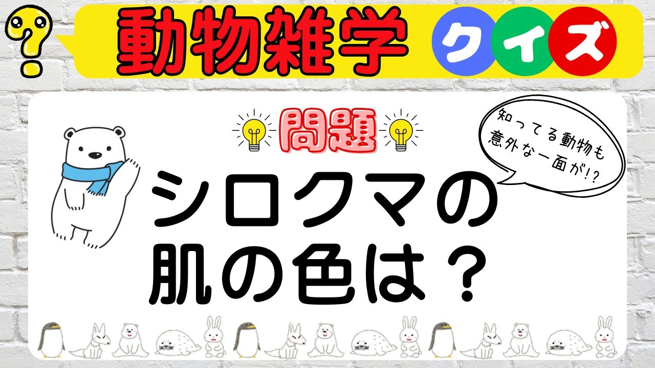 【動物豆知識クイズ】思わず人に話したくなる動物雑学クイズ！あなたは動物博士になれるかな！？