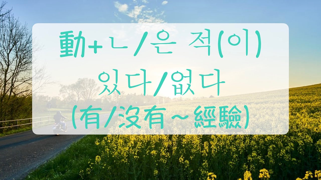 韓語文法 沒看過下雪 動+ㄴ/은 적이 있다/ 없다（表示經驗的有無）韓文教學 韓文句子 自學韓文 韓語學習