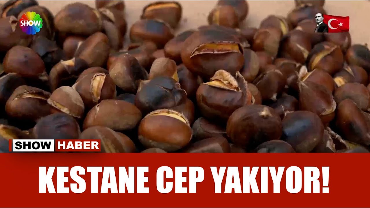 Kestane kebap, yemesi sevap ama fiyatı uçuk!