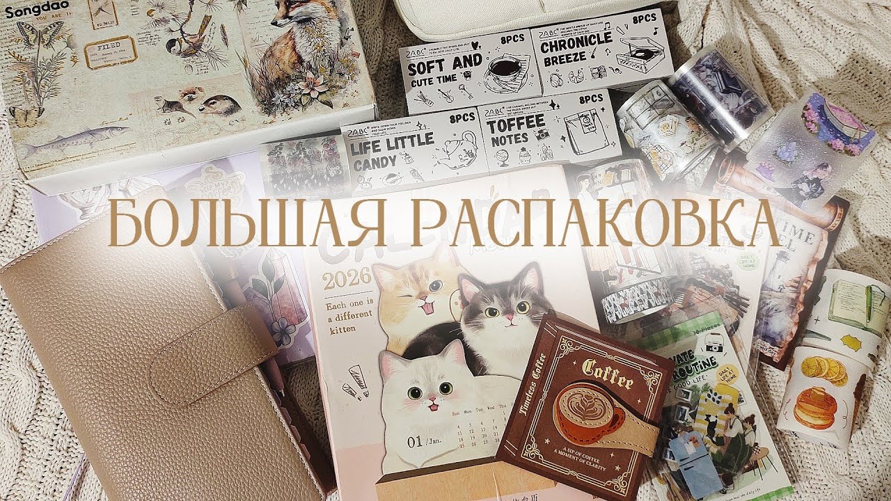 Большая распаковка канцелярии | Начало 2026 года в новых блокнотах 📔