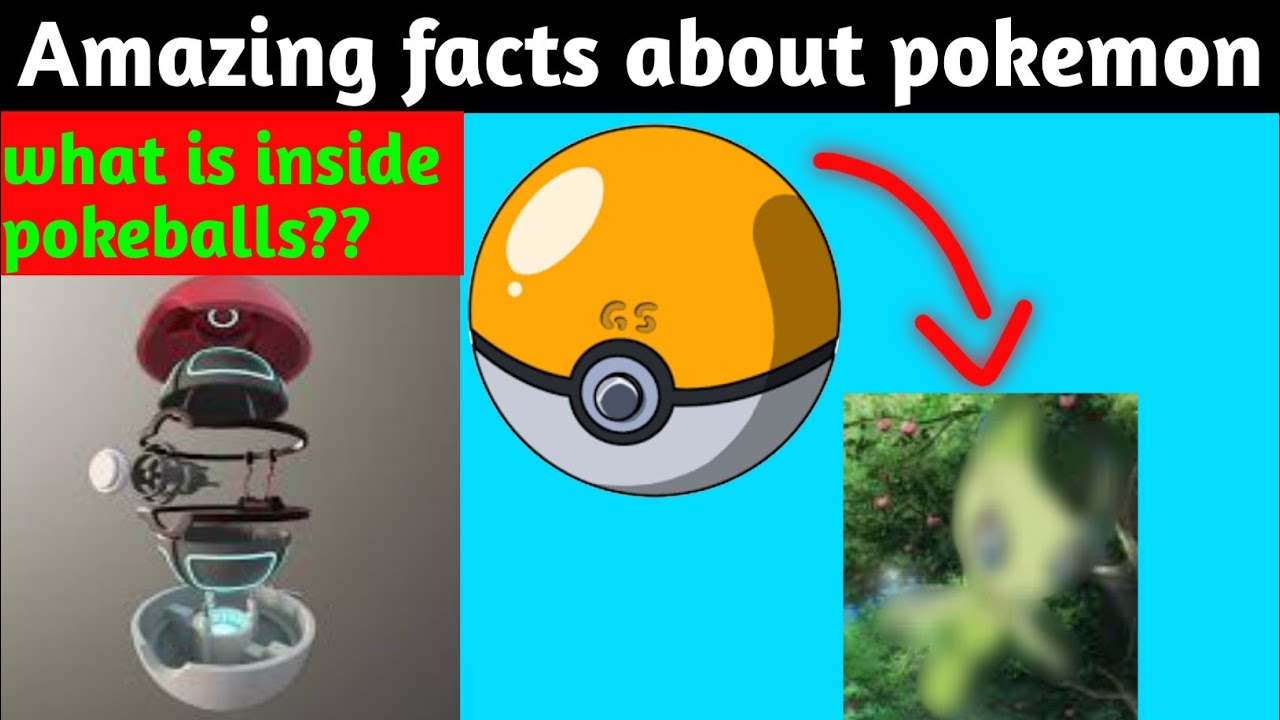 Most amazing facts about Pokemon || pokemon facts in hindi || pokemon facts ||