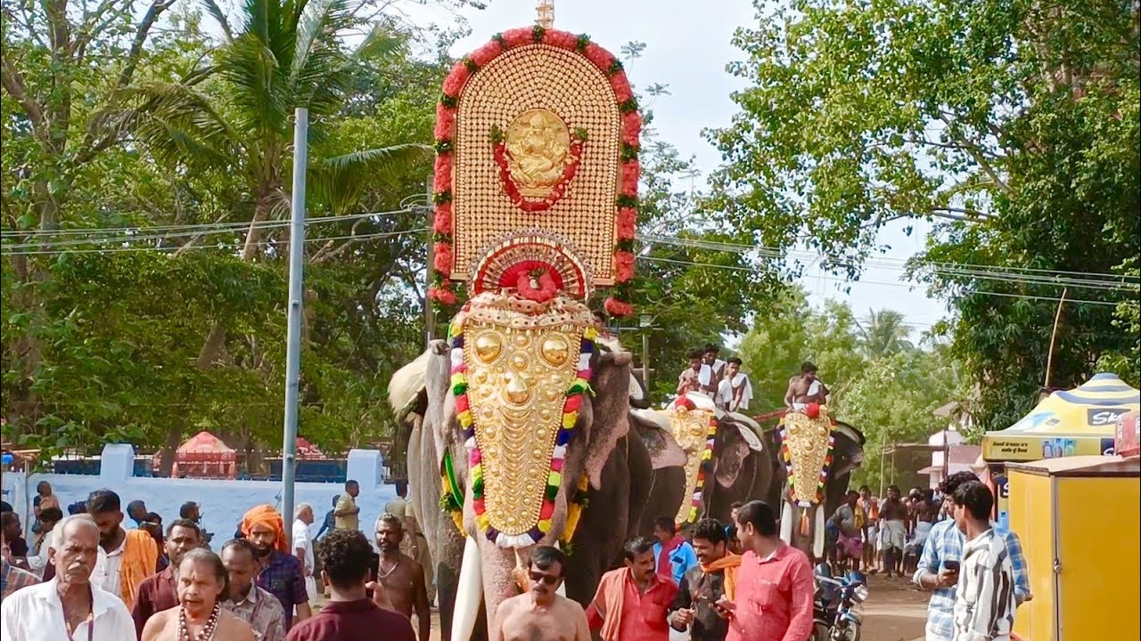 അത്തിപ്പൊറ്റ ശ്രീ മാങ്ങോട്ടുകാവ് വേല 2025 || Athipotta Mangottukavu Vela 2025