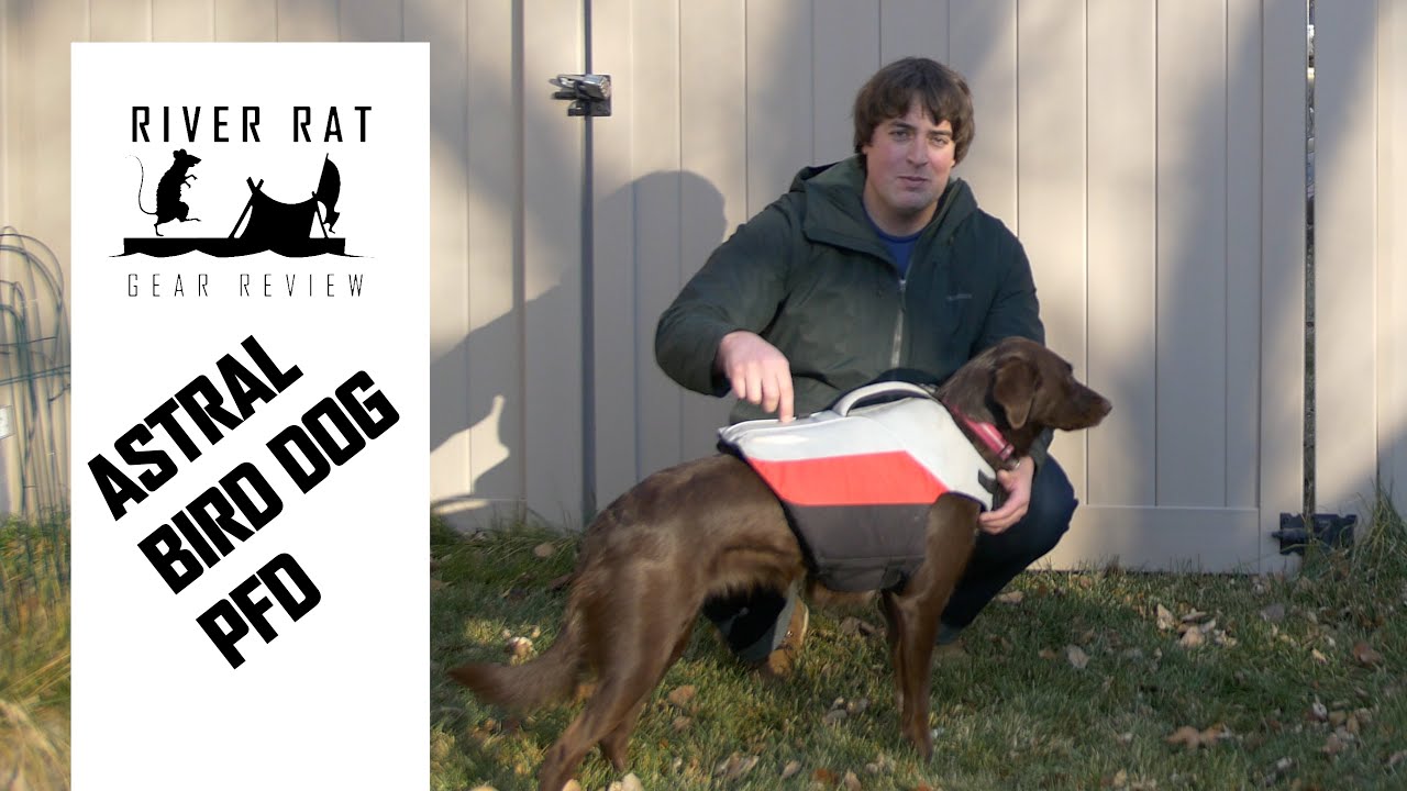 Best Dog Lifejacket: Review Astral Bird Dog Vest
