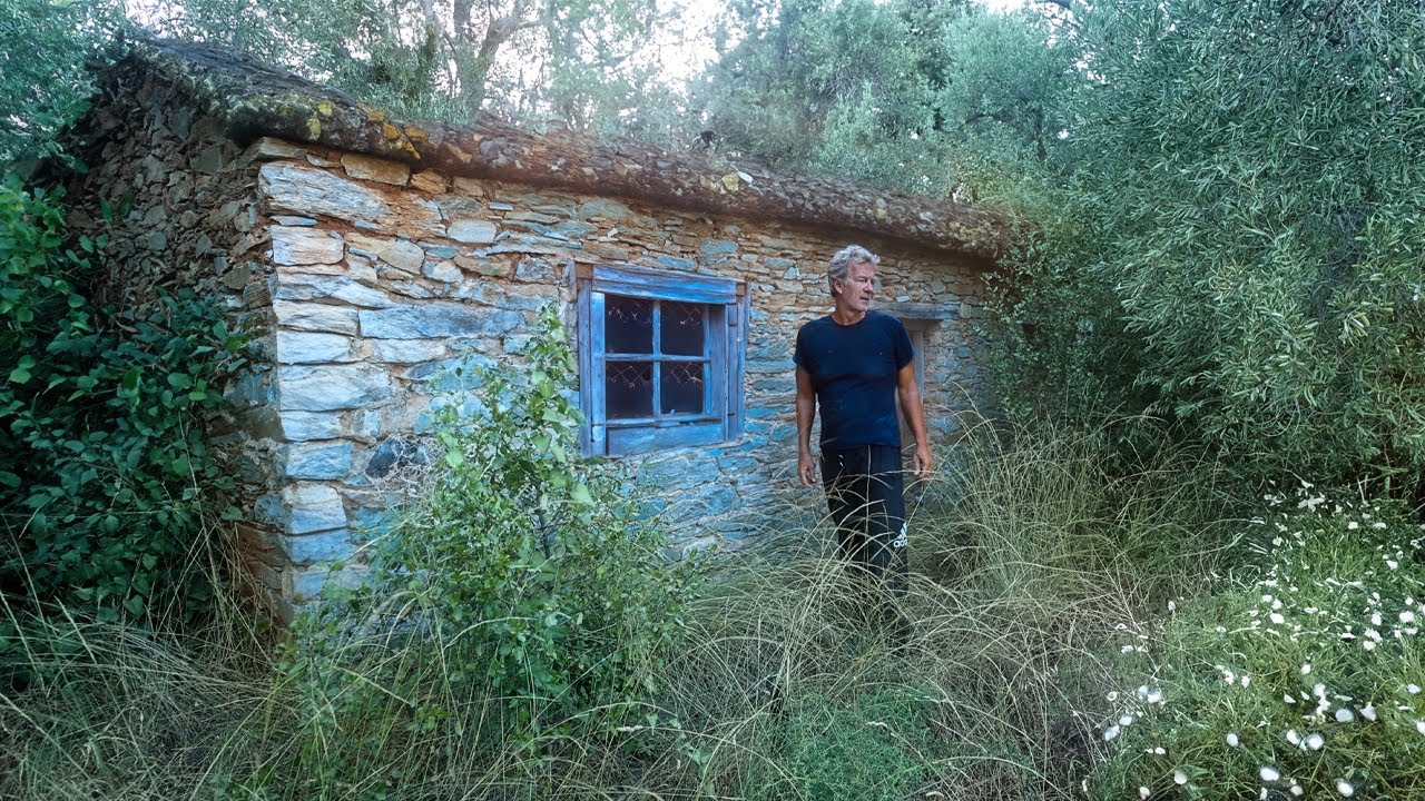 I detected a hidden stone cabin in the dark forest on the land | EP 5 |